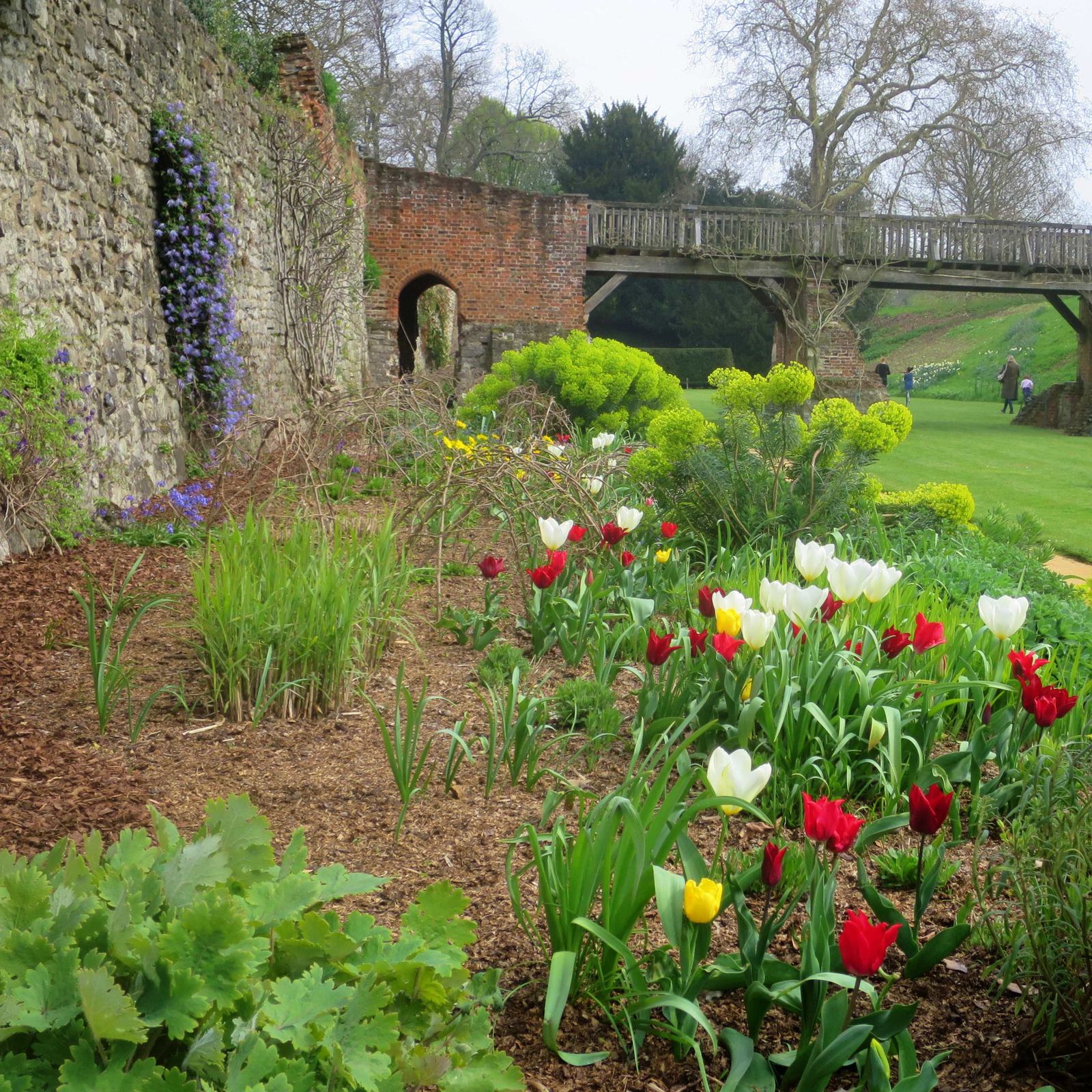 Landscaped garden with mature trees and a stone path