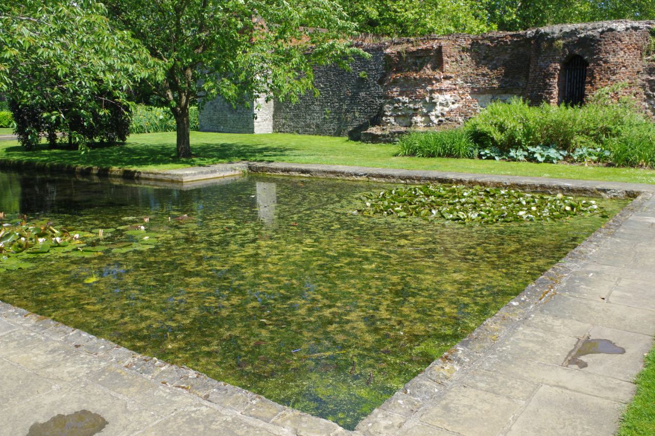 Landscaped gardens with mature trees
